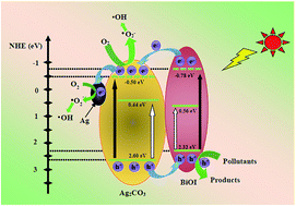 Graphical abstract: Highly improved visible-light-induced photocatalytic performance over BiOI/Ag2CO3 heterojunctions