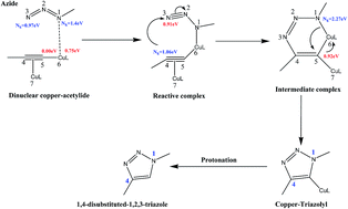 Graphical abstract: Understanding the mechanism and regioselectivity of the copper(i) catalyzed [3 + 2] cycloaddition reaction between azide and alkyne: a systematic DFT study