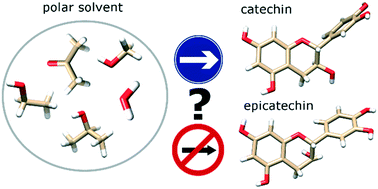 Graphical abstract: Explaining crystallization preferences of two polyphenolic diastereoisomers by crystal structure prediction