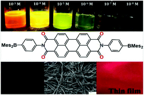 Graphical abstract: Borylated perylenediimide: self-assembly, photophysics and sensing application