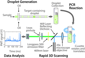 Graphical abstract: An ultrasensitive test for profiling circulating tumor DNA using integrated comprehensive droplet digital detection