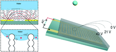 Graphical abstract: An electric-field-dependent drop selector