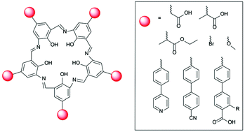 Graphical abstract: Campestarenes: new building blocks with 5-fold symmetry