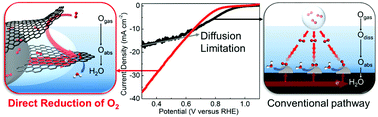 Graphical abstract: Direct reduction of oxygen gas over dendritic carbons with hierarchical porosity: beyond the diffusion limitation