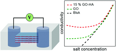 Graphical abstract: Nanofluidic transport through humic acid modified graphene oxide nanochannels