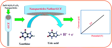 Graphical abstract: Wet-chemically prepared low-dimensional ZnO/Al2O3/Cr2O3 nanoparticles for xanthine sensor development using an electrochemical method