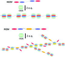 Graphical abstract: Multi-mode supermolecular polymerization driven by host–guest interactions