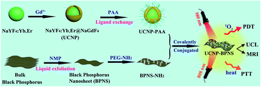 Graphical abstract: Theranostic nanocomposite from upconversion luminescent nanoparticles and black phosphorus nanosheets