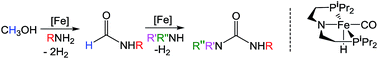 Graphical abstract: Iron-catalyzed urea synthesis: dehydrogenative coupling of methanol and amines
