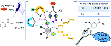 Graphical abstract: Insights into the role of noncovalent interactions in distal functionalization of the aryl C(sp2)–H bond