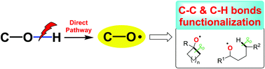 Graphical abstract: Recent advances in alkoxy radical-promoted C–C and C–H bond functionalization starting from free alcohols