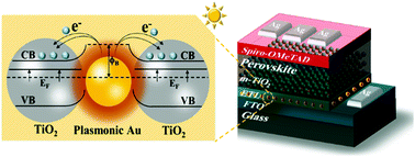 Graphical abstract: Tailoring carrier dynamics in perovskite solar cells via precise dimension and architecture control and interfacial positioning of plasmonic nanoparticles