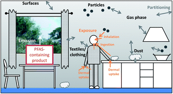 Graphical abstract: A framework to model exposure to per- and polyfluoroalkyl substances in indoor environments