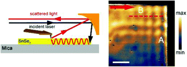 Graphical abstract: Tin diselenide van der Waals materials as new candidates for mid-infrared waveguide chips