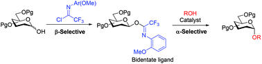 Graphical abstract: α-Selective glycosylations using glycosyl N-(ortho-methoxyphenyl)trifluoroacetimidates