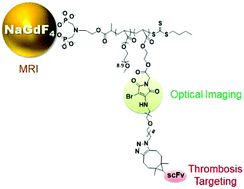 Graphical abstract: Functionalization of NaGdF4 nanoparticles with a dibromomaleimide-terminated polymer for MR/optical imaging of thrombosis