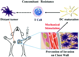 Graphical abstract: Intervaginal space injection of a liquid metal can prevent breast cancer invasion and better-sustain concomitant resistance