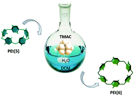 Graphical abstract: Insights into the synthesis of pillar[5]arene and its conversion into pillar[6]arene