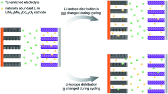 Graphical abstract: Deciphering the lithium ion movement in lithium ion batteries: determination of the isotopic abundances of 6Li and 7Li