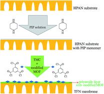 Graphical abstract: Enhanced dispersibility of metal–organic frameworks (MOFs) in the organic phase via surface modification for TFN nanofiltration membrane preparation