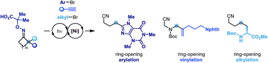 Graphical abstract: A dual photoredox-nickel strategy for remote functionalization via iminyl radicals: radical ring-opening-arylation, -vinylation and -alkylation cascades