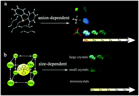 Graphical abstract: Anion-regulated transient and persistent phosphorescence and size-dependent ultralong afterglow of organic ionic crystals