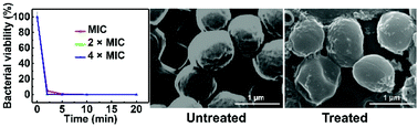 Graphical abstract: A convenient approach for antibacterial polypeptoids featuring sulfonium and oligo(ethylene glycol) subunits