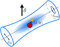 Graphical abstract: Nondestructive dispersive imaging of rotationally excited ultracold molecules