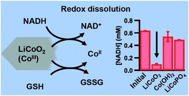 Graphical abstract: Reciprocal redox interactions of lithium cobalt oxide nanoparticles with nicotinamide adenine dinucleotide (NADH) and glutathione (GSH): toward a mechanistic understanding of nanoparticle-biological interactions