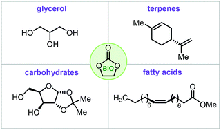 Graphical abstract: Recent progress in the catalytic transformation of carbon dioxide into biosourced organic carbonates