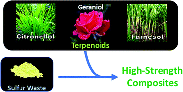 Graphical abstract: A role for terpenoid cyclization in the atom economical polymerization of terpenoids with sulfur to yield durable composites