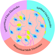 Graphical abstract: Bioinspired flexible electronics for seamless neural interfacing and chronic recording