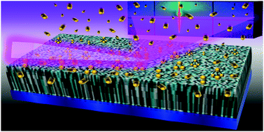 Graphical abstract: Real-time insight into nanostructure evolution during the rapid formation of ultra-thin gold layers on polymers