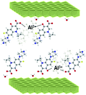 Graphical abstract: New insights into two ciprofloxacin-intercalated arrangements for layered double hydroxide carrier materials