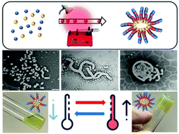 Graphical abstract: Forced gradient copolymerisation: a simplified approach for polymerisation-induced self-assembly