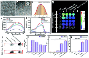 Graphical abstract: Sendai virus acts as a nano-booster to excite dendritic cells for enhancing the efficacy of CD47-directed immune checkpoint inhibitors against breast carcinoma