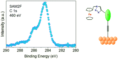 Graphical abstract: Stability of radical-functionalized gold surfaces by self-assembly and on-surface chemistry