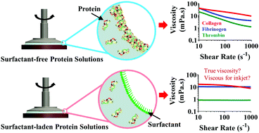 Graphical abstract: Rheological investigation of collagen, fibrinogen, and thrombin solutions for drop-on-demand 3D bioprinting