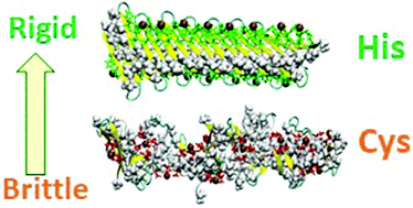 Graphical abstract: Controlling the properties and self-assembly of helical nanofibrils by engineering zinc-binding β-hairpin peptides