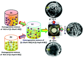 Graphical abstract: Block copolymer [(l-GluA-5-BE)-b-(l-AspA-4-BE)]-based nanoflower capsules with thermosensitive morphology and pH-responsive drug release for cancer therapy