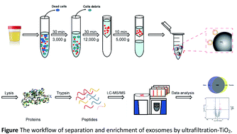 Graphical abstract: A new urinary exosome enrichment method by a combination of ultrafiltration and TiO2 nanoparticles
