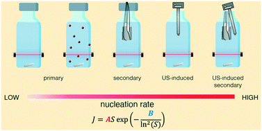 Graphical abstract: Nucleation kinetics for primary, secondary and ultrasound-induced paracetamol crystallization