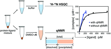 Graphical abstract: Rigorous analysis of the interaction between proteins and low water-solubility drugs by qNMR-aided NMR titration experiments