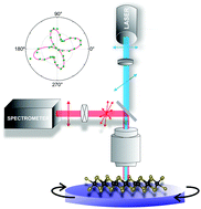 Graphical abstract: Polarized Raman spectroscopy in low-symmetry 2D materials: angle-resolved experiments and complex number tensor elements