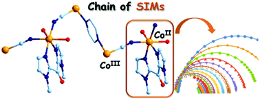 Graphical abstract: Field-induced single ion magnet behaviour of discrete and one-dimensional complexes containing [bis(1-methylimidazol-2-yl)ketone]-cobalt(ii) building units