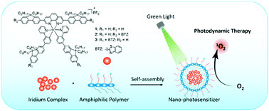 Graphical abstract: Benzothiazole-decorated iridium-based nanophotosensitizers for photodynamic therapy of cancer cells