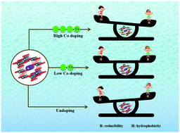 Graphical abstract: Insights into a “seesaw effect” between reducibility and hydrophobicity induced by cobalt doping: influence on OMS-2 nanomaterials for catalytic degradation of carcinogenic benzene