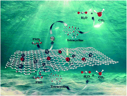 Graphical abstract: Degradation of tetracycline over carbon nanosheet: high efficiency, mechanism and biotoxicity assessment