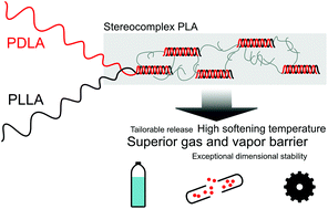 Graphical abstract: Role of stereocomplex in advancing mass transport and thermomechanical properties of polylactide