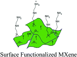 Graphical abstract: Surface functionalization of MXenes